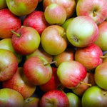 Winesap